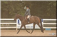 4H-Dstr-08_1280.jpg