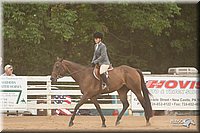 4H-Dstr-08_1282.jpg