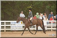 4H-Dstr-08_1283.jpg