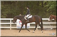 4H-Dstr-08_1285.jpg