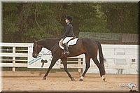 4H-Dstr-08_1286.jpg