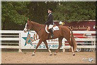 4H-Dstr-08_1290.jpg