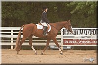 4H-Dstr-08_1292.jpg