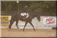 4H-Dstr-08_1293.jpg