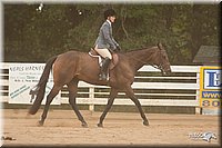 4H-Dstr-08_1294.jpg