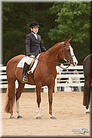 4H-Dstr-08_1300.jpg