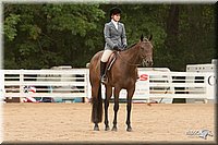 4H-Dstr-08_1302.jpg