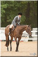4H-Dstr-08_1306.jpg