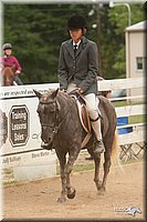 4H-Dstr-08_1308.jpg