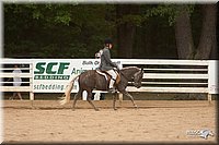 4H-Dstr-08_1310.jpg