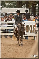 4H-Dstr-08_1316.jpg