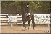 4H-Dstr-08_1322.jpg