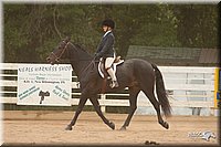 4H-Dstr-08_1327.jpg