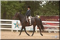 4H-Dstr-08_1330.jpg