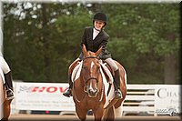 4H-Dstr-08_1411.jpg