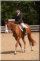 4H-Dstr-08_1420.jpg