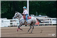 4H-Dstr-08_0025.jpg