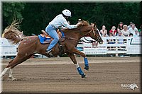 4H-Dstr-08_0050.jpg