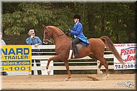 4H-Dstr-08_1349.jpg