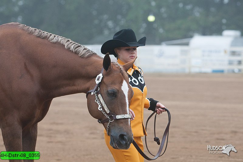 4H-Dstr-08_0355.jpg