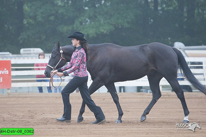 4H-Dstr-08_0362.jpg