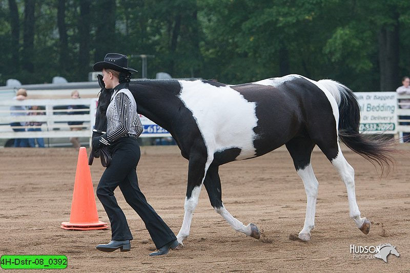 4H-Dstr-08_0392.jpg