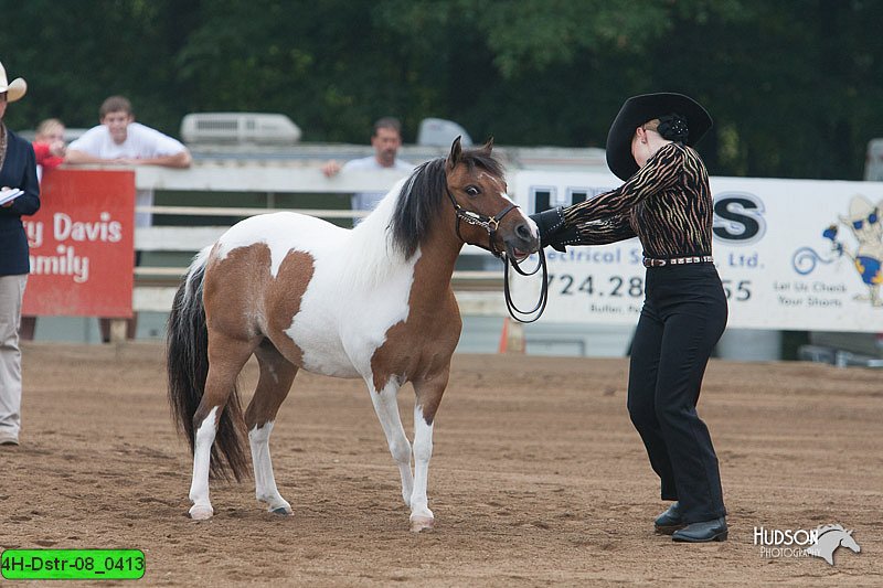4H-Dstr-08_0413.jpg