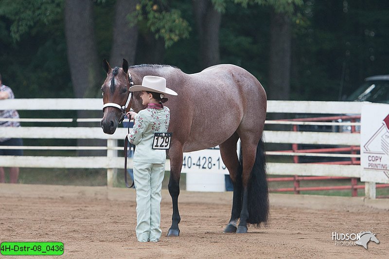 4H-Dstr-08_0436.jpg
