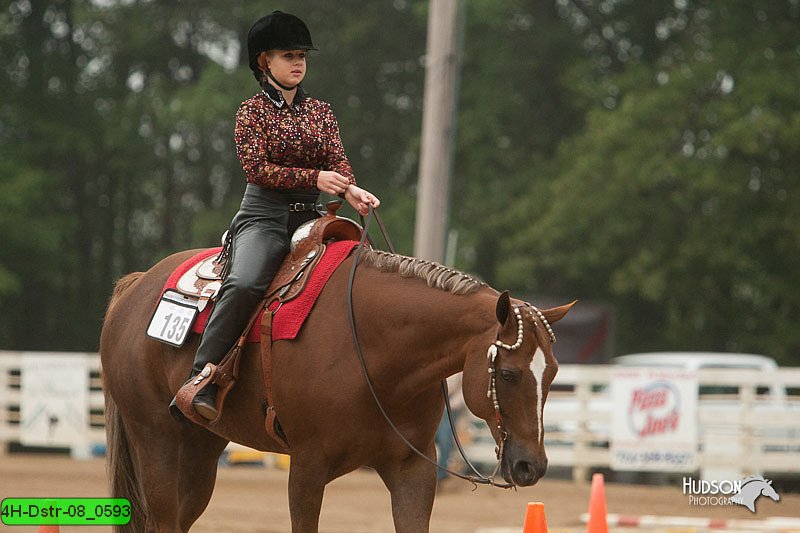 4H-Dstr-08_0593.jpg