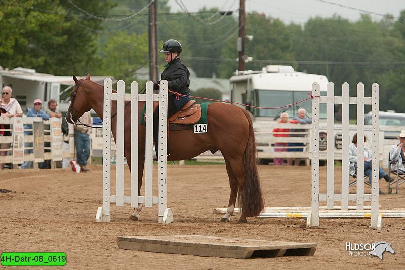 4H-Dstr-08_0619.jpg