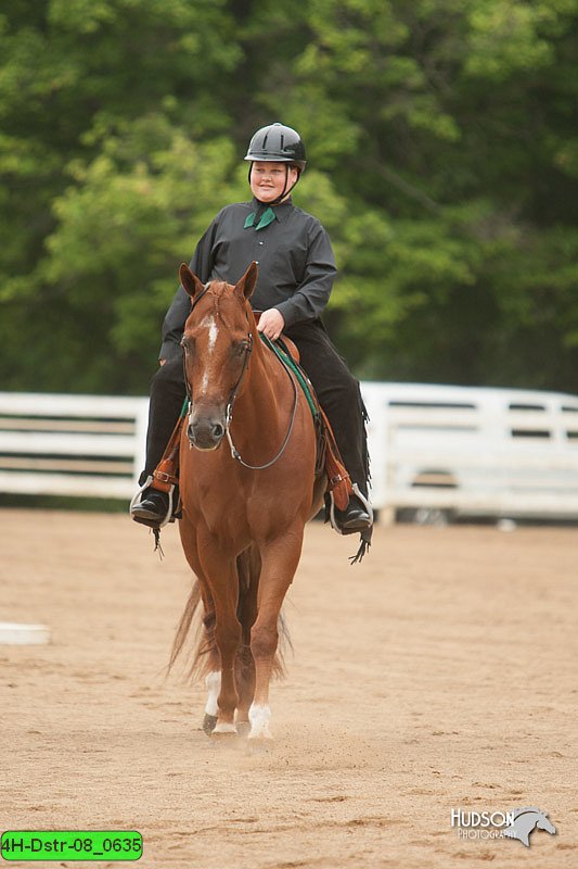 4H-Dstr-08_0635.jpg