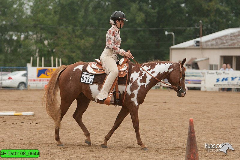 4H-Dstr-08_0644.jpg