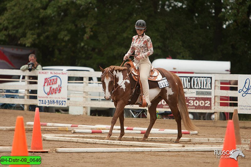 4H-Dstr-08_0646.jpg