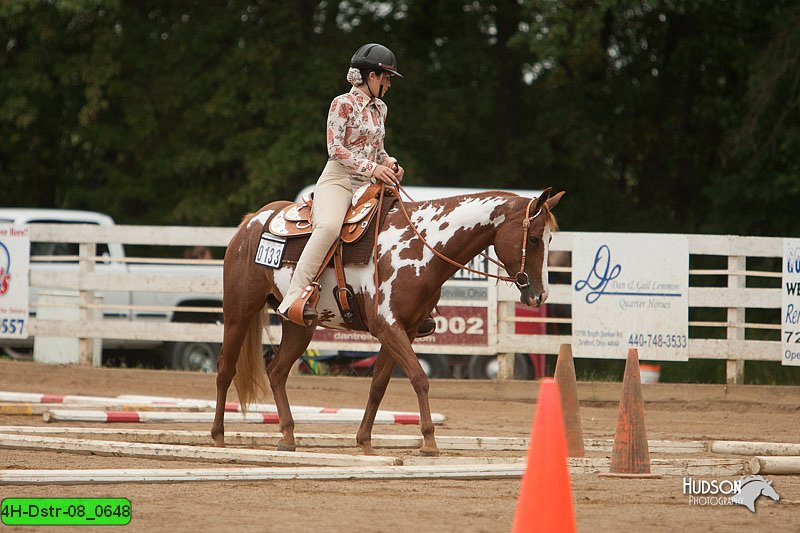 4H-Dstr-08_0648.jpg
