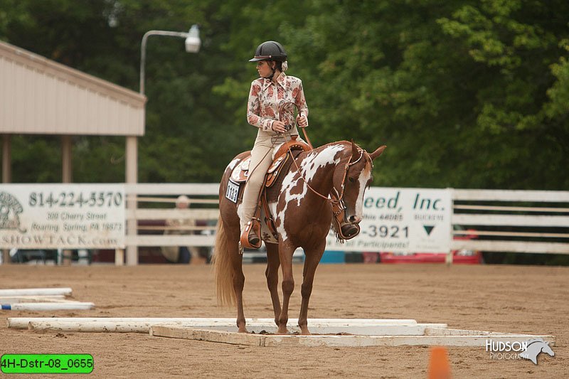 4H-Dstr-08_0655.jpg