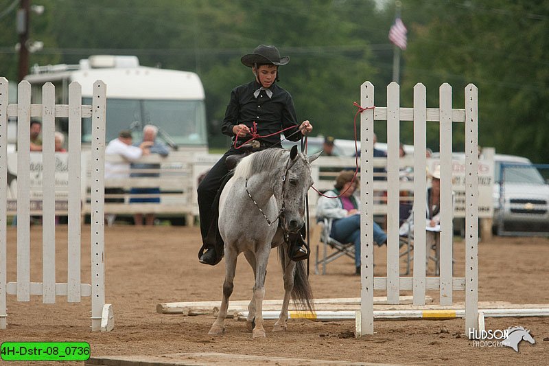 4H-Dstr-08_0736.jpg