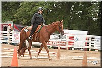4H-Dstr-08_0626.jpg