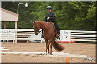 4H-Dstr-08_0630.jpg