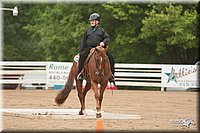 4H-Dstr-08_0631.jpg