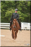 4H-Dstr-08_0634.jpg