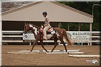 4H-Dstr-08_0650.jpg