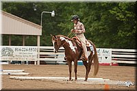 4H-Dstr-08_0653.jpg