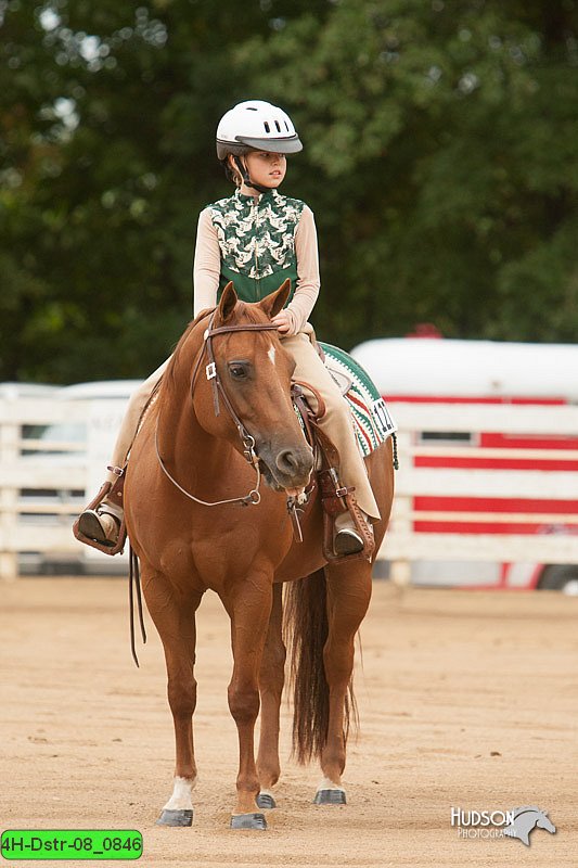 4H-Dstr-08_0846.jpg