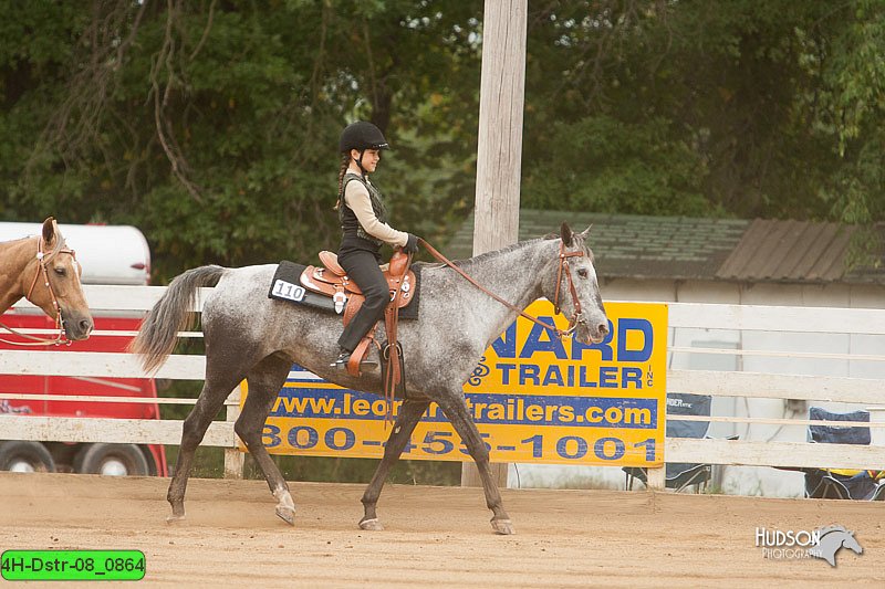 4H-Dstr-08_0864.jpg