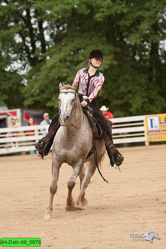 4H-Dstr-08_0976.jpg