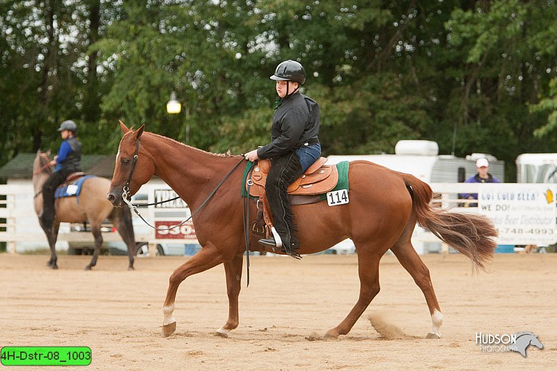 4H-Dstr-08_1003.jpg