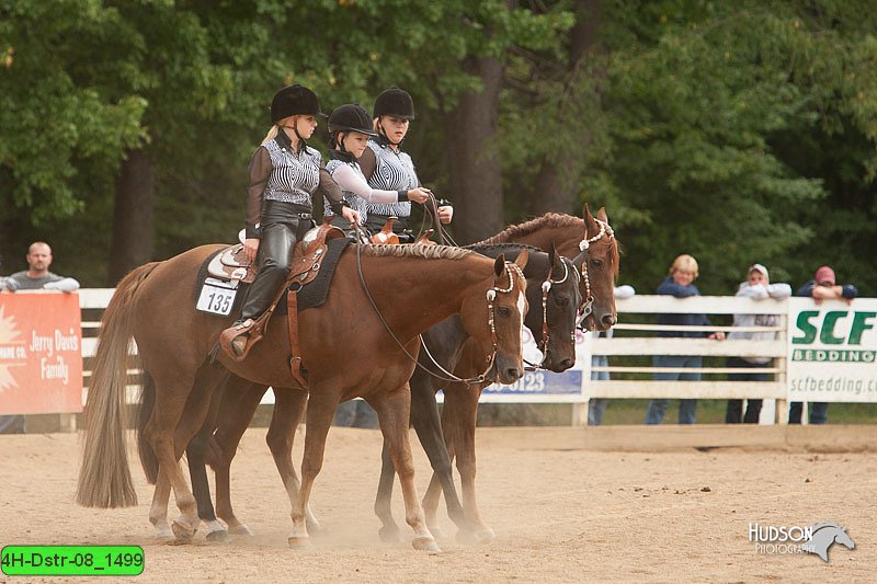 4H-Dstr-08_1499.jpg