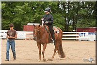 4H-Dstr-08_1018.jpg