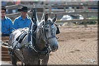 LC-4H-Fair-08_173.jpg