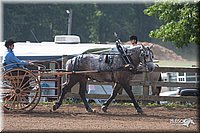 LC-4H-Fair-08_178.jpg